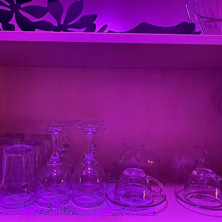 아파트 Central Relaxation *